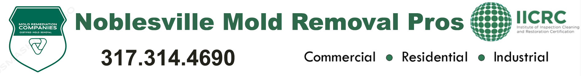 Noblesville Mold Removal Pros