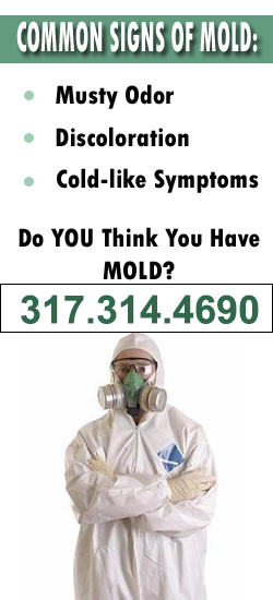 Noblesville Mold Remediation Contractor